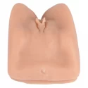 Realistyczna cipka Masturbator