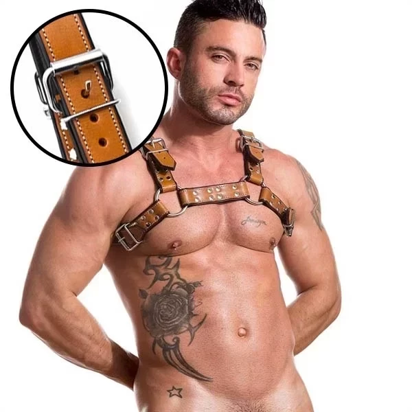 Auburn saddle bulldog harness - nickle - medium