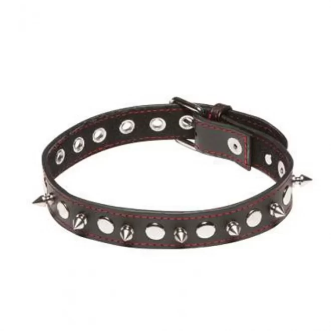 Obroża Spiked Collar Black