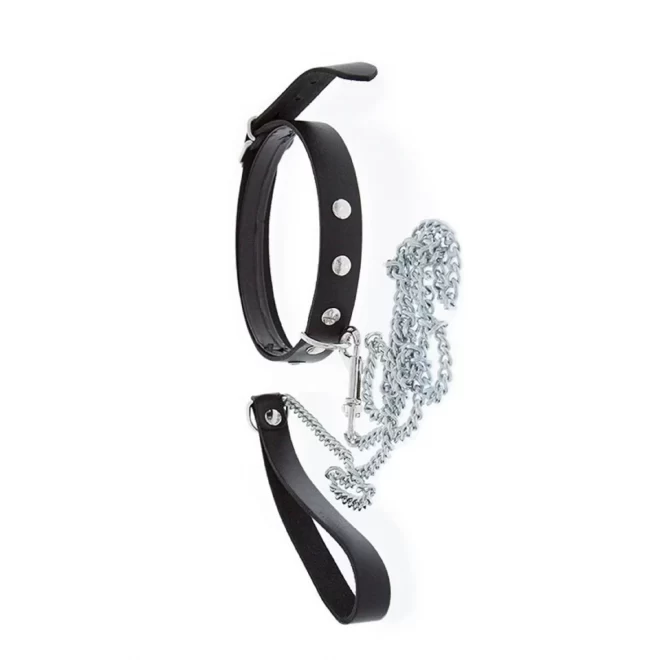 GP COLLAR & LEASH
