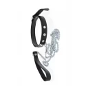 GP COLLAR & LEASH