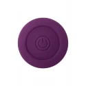 EVOLVED MY SECRET WAND PURPLE