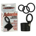 Pierścień erekcyjny Adonis Leather Ring Zeus