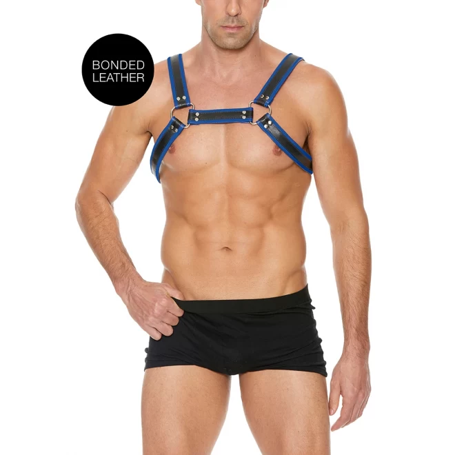 Buckle bulldog harness - s/m