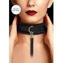 V&v adjustable collar with leash