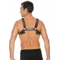 Buckle bulldog harness - s/m