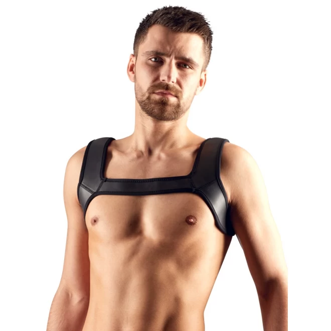 Men's Harness