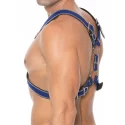 Z series scottish harness - leather