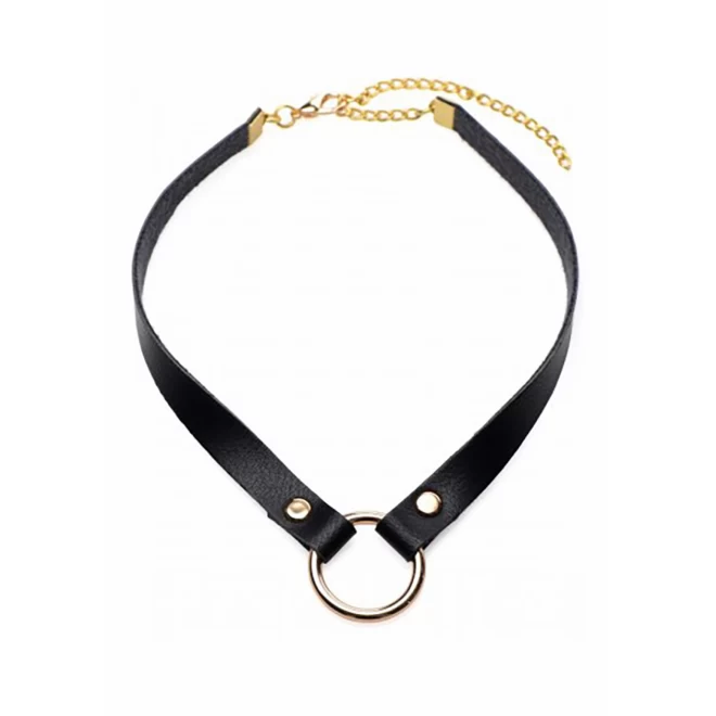 Posh pet gold ring slim choker