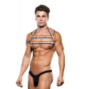 RAINBOW HARNESS, L/XL