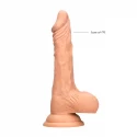 Dildo Dong With Testicles 9''