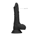Dildo Dong With Testicles 9''