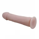 THE BIG PENIS