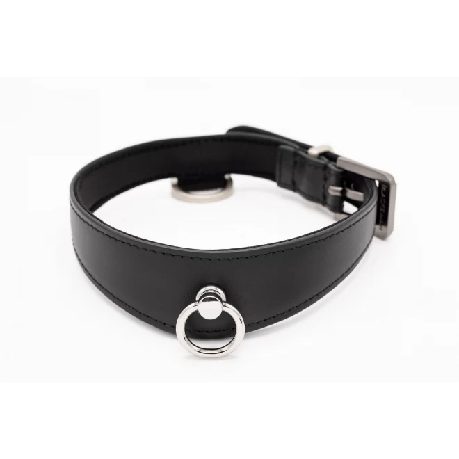 Black swan designz - collar