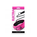 Electra Collar + Leash
