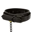 Obroża ze smyczą Boundless Collar & Leash