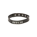 X-play "bitch" collar