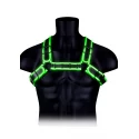 Buckle bulldog harness - gitd