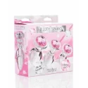 Pink Gem Glass Anal Plug Set