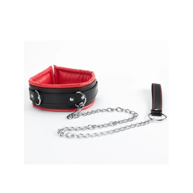 Red Collar And Leash