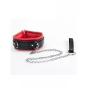 Red Collar And Leash