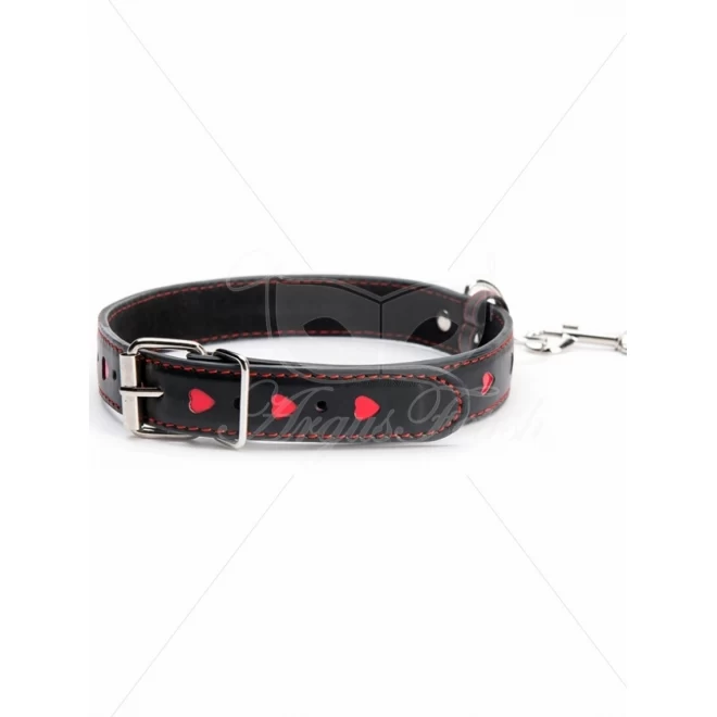 Hearts Collar And Leash