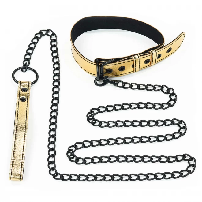 Bondage Fetish Metallic Pup Collar With Leash