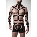 Grey velvet men 4-teiliges harness set