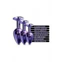 NIXIE METAL BUTT PLUG TRAINER SET