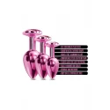 NIXIE METAL BUTT PLUG TRAINER SET