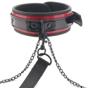 Obroża ze smyczą i klamerkami Heartbreaker Deluxe Collar And Leash Set