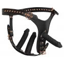 Bad kitty strapon 3d