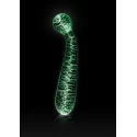 Dildo szklane Glass G-Spot Glow