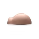Realistic pussy and ass