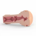 Masturbator - Oh Push Me Masturbator - Anus