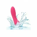 Wibrator Pixies Ripple Calexotics