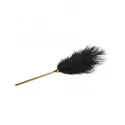 Piórko Feather Tickler
