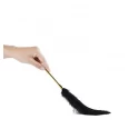 Piórko Feather Tickler