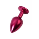 Red anal plug TOYFA Metal with red gem