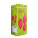 Vibrating egg with remote control - strawberry red