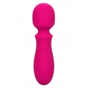 Bliss Mini Wand