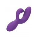 Stella C Curve