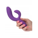 Stella C Curve
