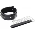 Fetish Fever - Collar with leash - Black